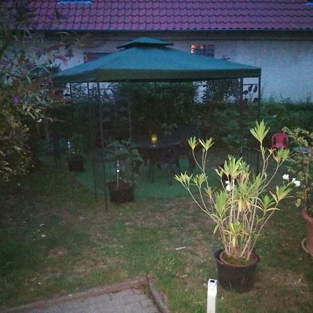 Ferienwohnung Am Finkenherd Dankerode  Zewnętrze zdjęcie