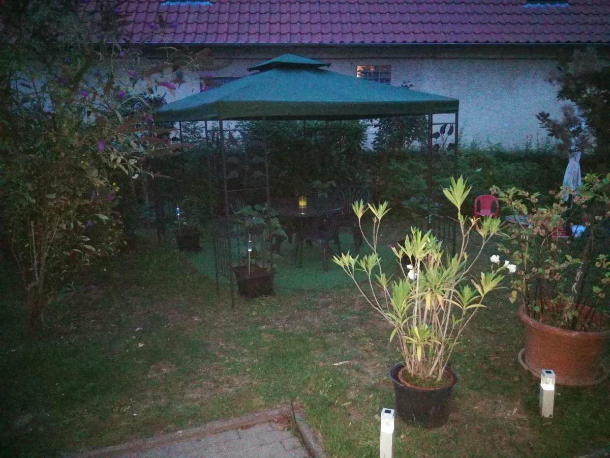 Ferienwohnung Am Finkenherd Dankerode  Zewnętrze zdjęcie